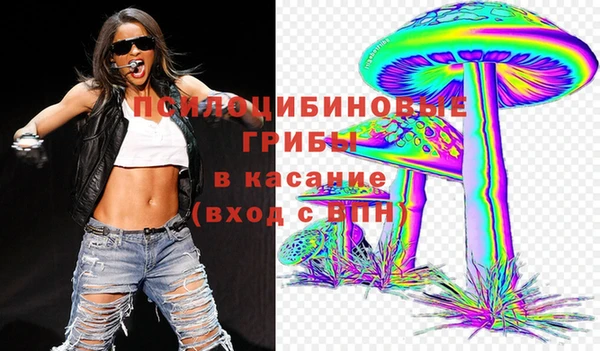 мдпв Беломорск