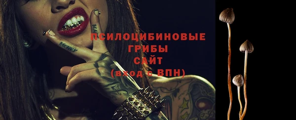 мдпв Беломорск