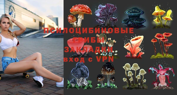 метадон Богородицк