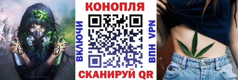 Марихуана OG Kush цена Пестово